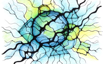 Jak nastavit téma v NeuroGrafice